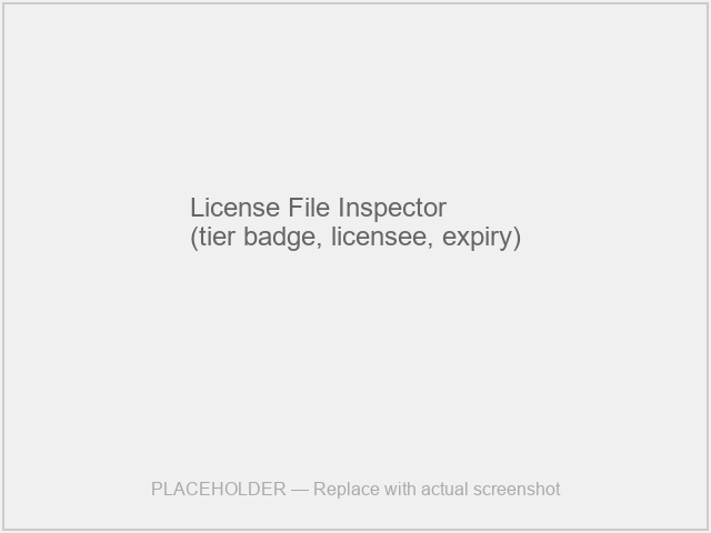 License File Inspector